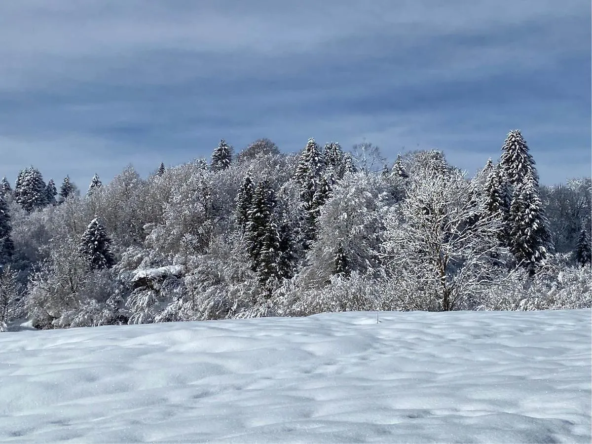 Apartamento Casa Monte Zebio Asiago Italia
